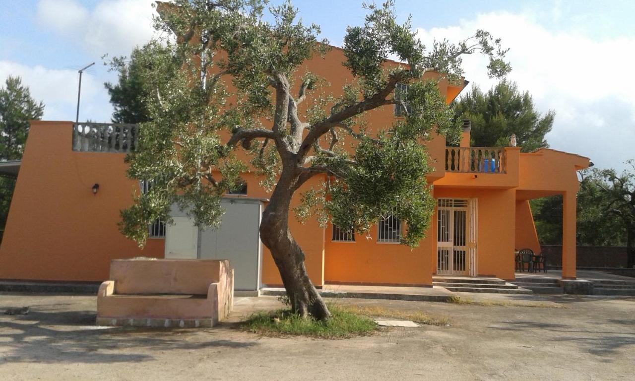 Villa Rustica Nardò Exteriér fotografie